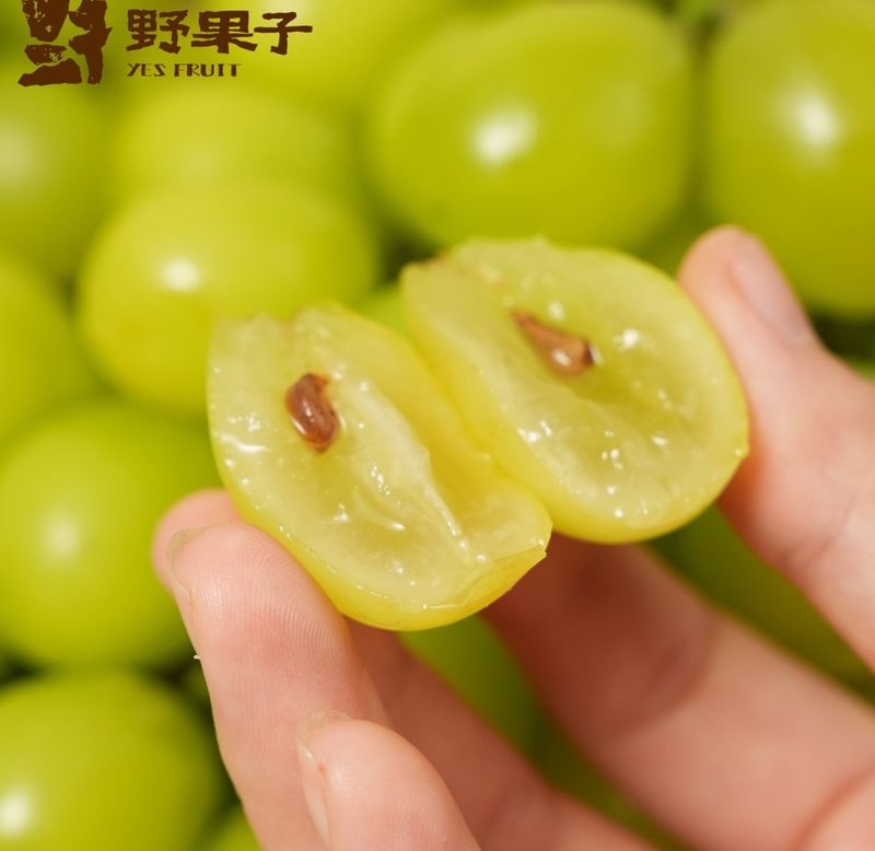 丑阳光玫瑰